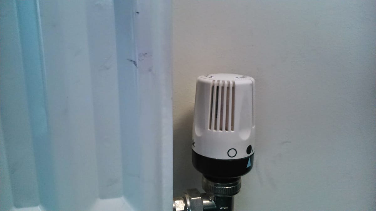 A white thermostatic radiator valve head with a black collar, fitted to a chrome valve body at the bottom corner of a white panel radiator.