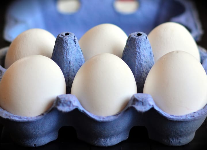 Six white eggs sitting in an open blue cardboard egg carton